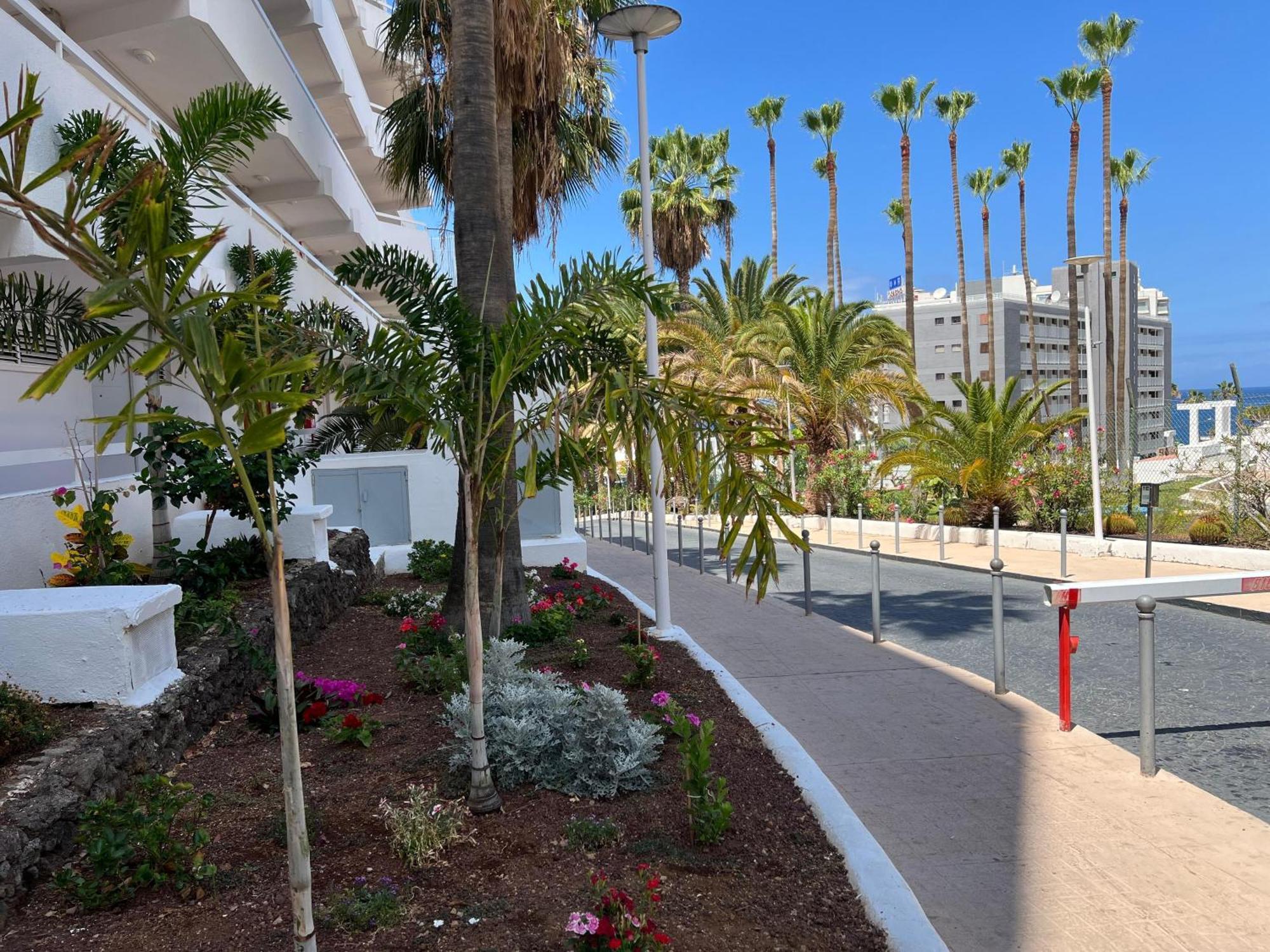 Tenerife Sea View 216 Playa Feñabe Exterior foto